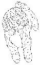 SMOKEY.webp