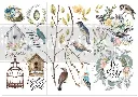 garden marvels.webp