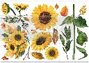 sunflower afternoon.webp