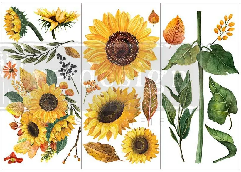 SUNFLOWER AFTERNOON Transfer