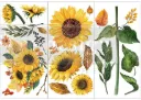 SUNFLOWER AFTERNOON Transfer