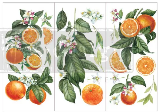 CITRUS SLICE Transfer