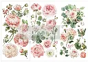 BLUSHING BLOOMS Transfer