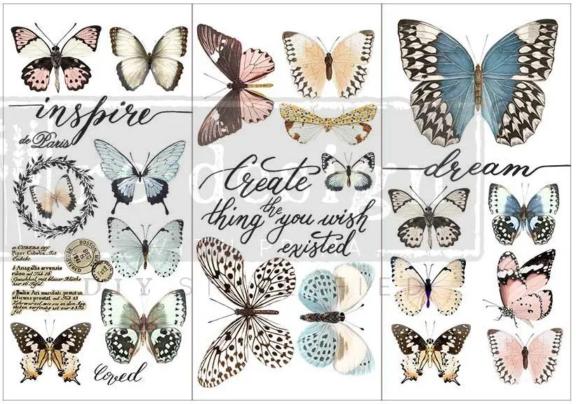 PAPILLON Transfer