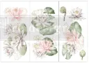 WATER LILIES Transfer